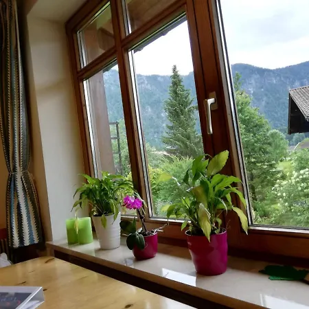 Apartment Bergblick Inzell